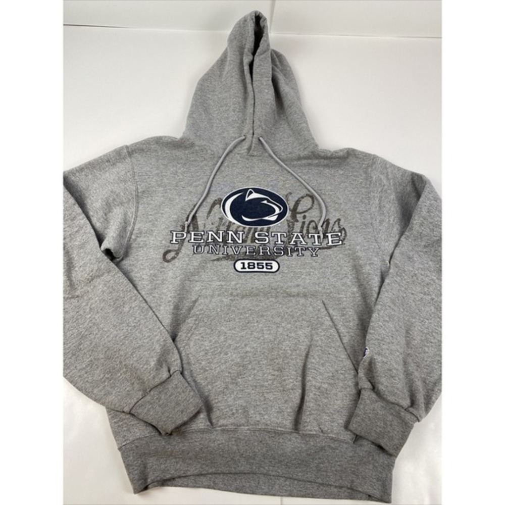 Champion PENN STATE University Spellout Logo Graphic Hoodie Small S‎ Gray Y2K